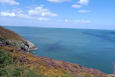 Reisebericht von Dominica